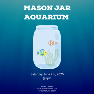 Mason Jar Aquarium